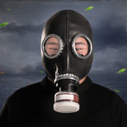 gas mask including filter