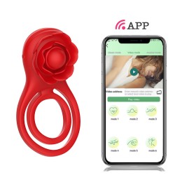 rose-shackle-plus-app-remote-control-vibration-penis-ring.jpg